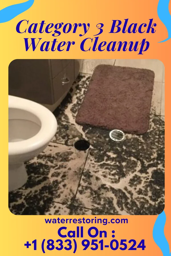 Category 3 Black Water Cleanup in Cynthiana, KY